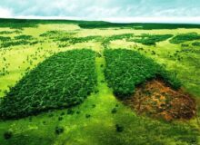 زمین ایران نفس ندارد